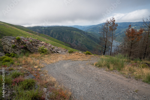 Camino de Santiago trail, Asturias, Spain