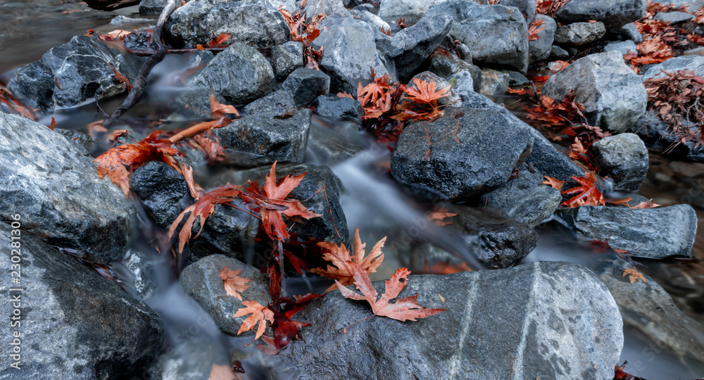 Long exposure shot of the autumn leaves and the moving water Long exposure shot of the autumn leaves and the moving water