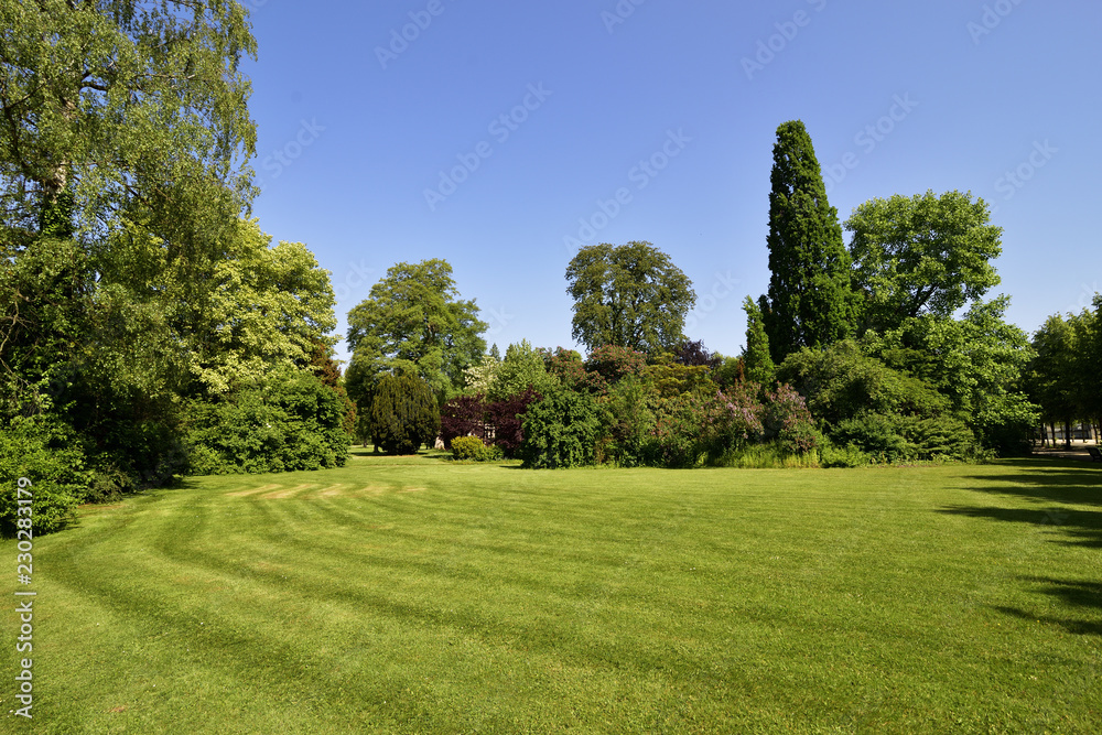 Parklandschaft mit Baeumen, Büschen und blauem Himmel, Park landscape with trees, bushes and blue sky