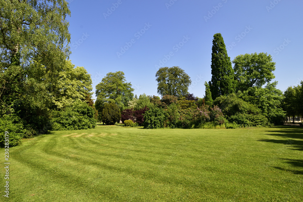 Parklandschaft mit Baeumen, Büschen und blauem Himmel, Park landscape with trees, bushes and blue sky Parklandschaft mit Baeumen, Büschen und blauem Himmel, Park landscape with trees, bushes and blue sky