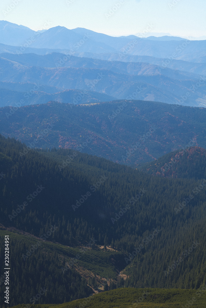 Fototapeta premium Carpathian mountaines