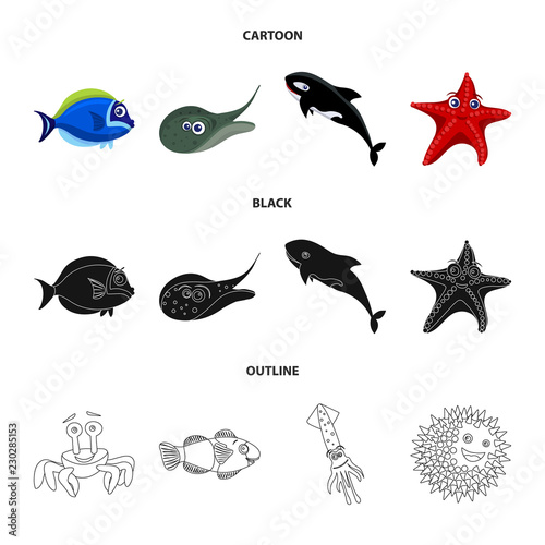 Isolated object of sea and animal icon. Set of sea and marine stock symbol for web.