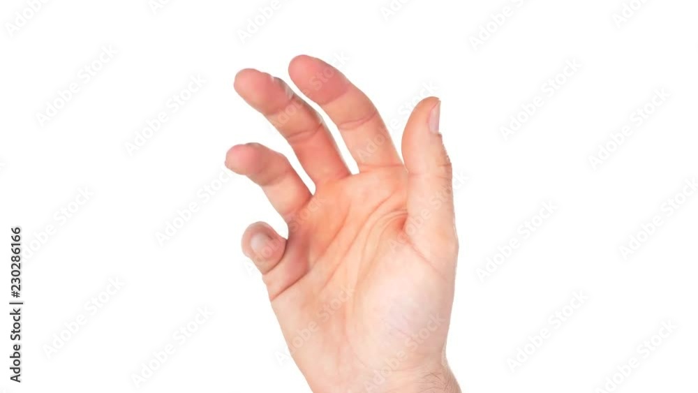 Hand making the gesture of asking for money. White background Hand making the gesture of asking for money. White background