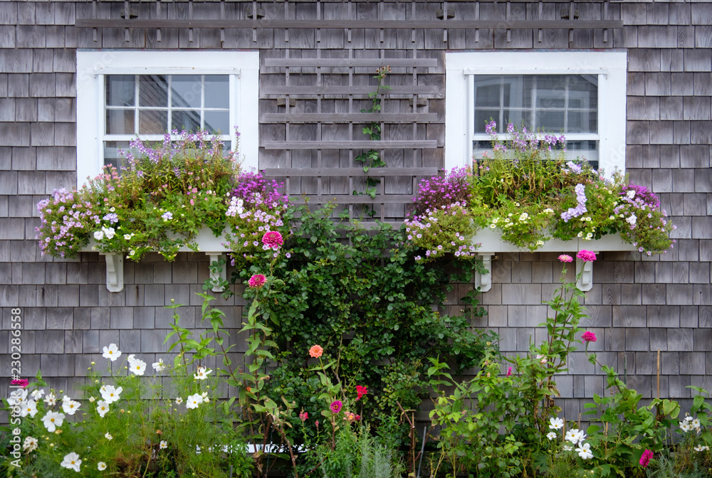 Fototapeta premium Flowers on Windowsill