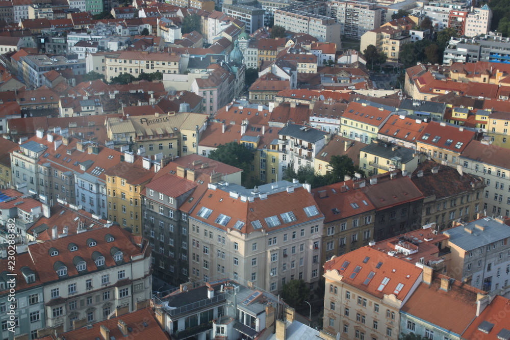 Brown roofs of the city