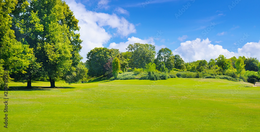 Summer park with deciduous trees and broad lawns. Wide photo.