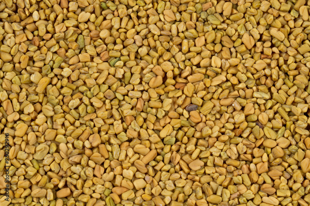 Fototapeta premium Fenugreek Seeds (Methi Dana)