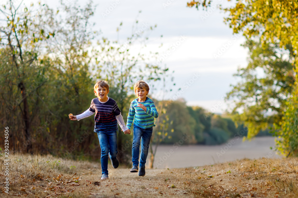 Fototapeta premium Two little school kids boys running and jumping in forest. Happy children, best friends and siblings having fun on warm sunny day early autumn. Twins and family, nature and active leisure.