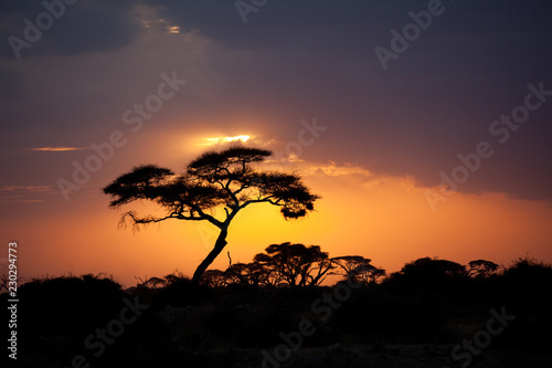 sunset im amboseli