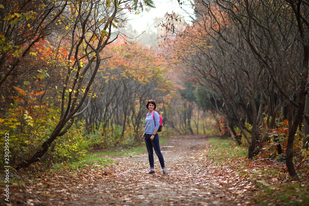 Girl in a yellow autumn forest. Beautiful young woman walks along the path of the autumn forest. Girl in a yellow autumn forest. Beautiful young woman walks along the path of the autumn forest.
