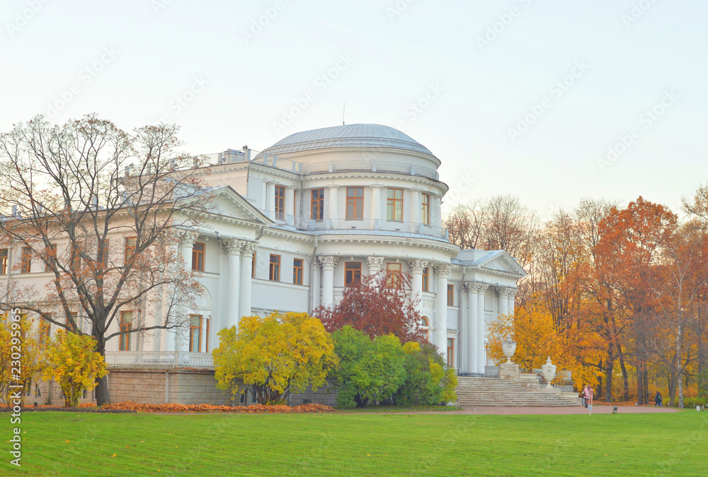 Elaginoostrovsky Palace in St. Petersburg.