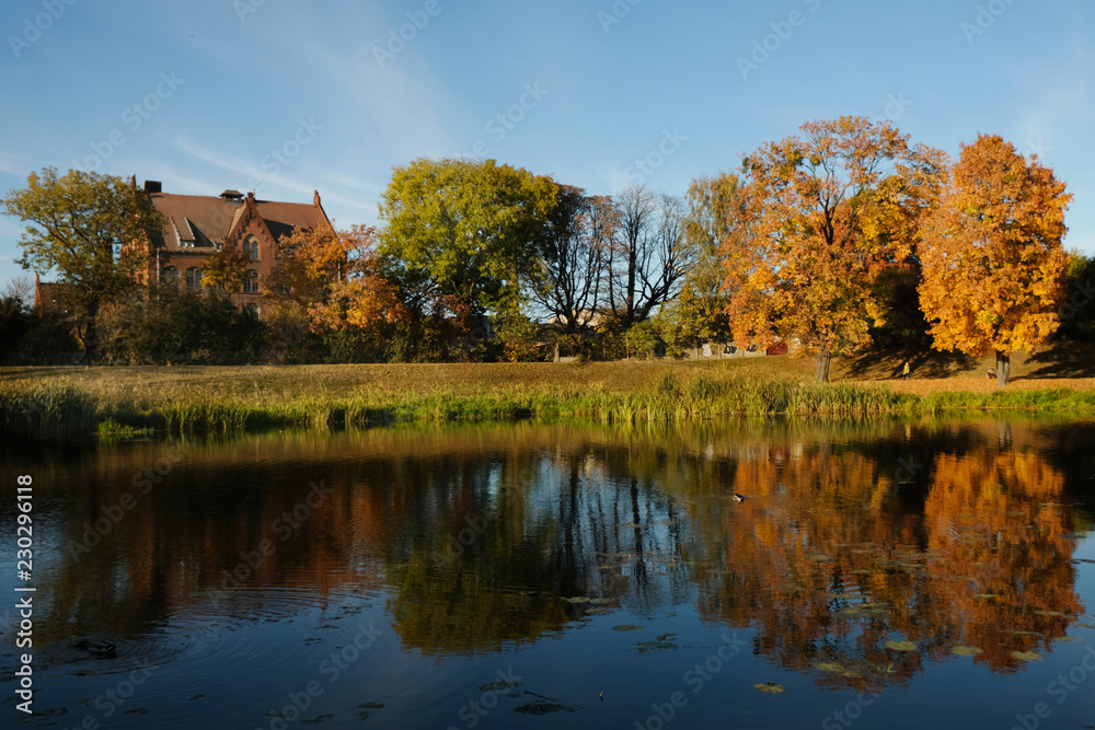 Polska, Gdańsk - jesienny krajobraz nad rzeką Motławą, oświetlony wieczornym słońcem - obrazy, fototapety, plakaty 