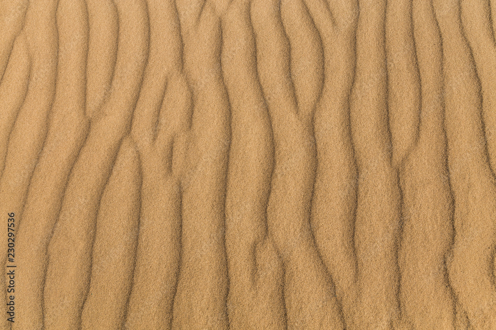 Sand background, sandy waves on windy day on the beach or in desert, natural background Sand background, sandy waves on windy day on the beach or in desert, natural background