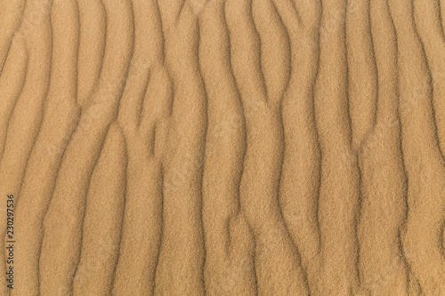 Sand background, sandy waves on windy day on the beach or in desert, natural background