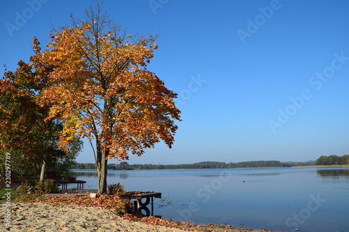 Autumn landscape lake poland