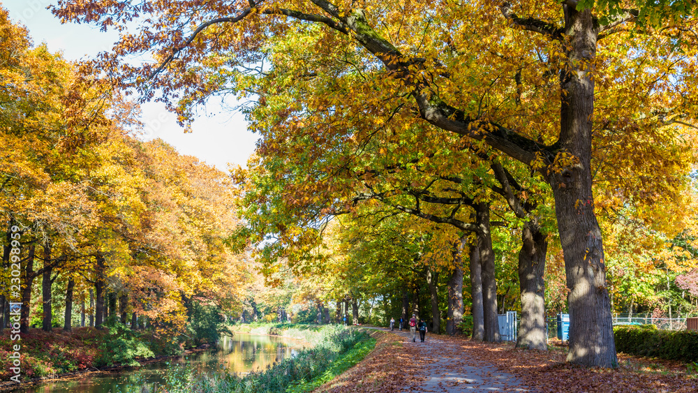Autumn colors along the  Apeldoornse channel near Eerbeek in Gelderland, Netherlands