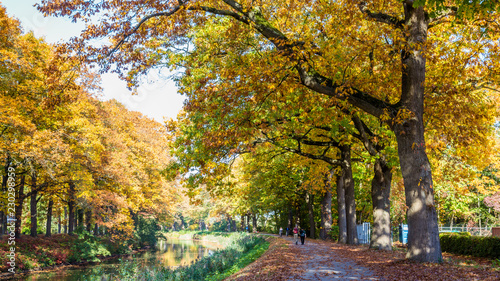 Foto Autumn colors along the  Apeldoornse channel near Eerbeek in Gelderland, Netherl