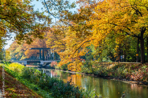 Autumn colors along the  Apeldoornse channel near Eerbeek in Gelderland, Netherlands