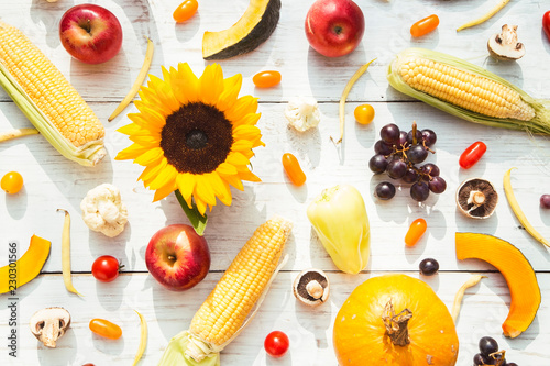 Fototapeta Naklejka Na Ścianę i Meble -  Autumh harvesting