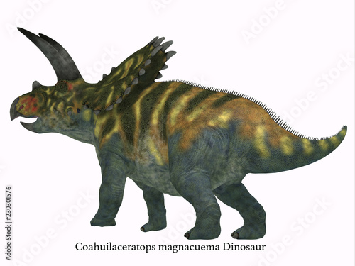 Coahuilaceratops Dinosaur Tail with Font © Catmando