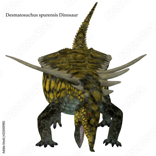Fototapeta Naklejka Na Ścianę i Meble -  Desmatosuchus Dinosaur Front with Font
