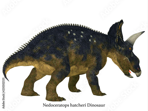 Nedoceratops Dinosaur Tail with Font