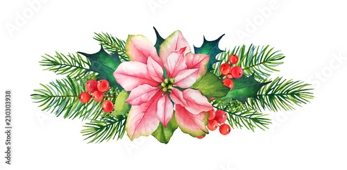 Decorative Christmas element with watercolor poinsettia flower, branches of holly and pine tree