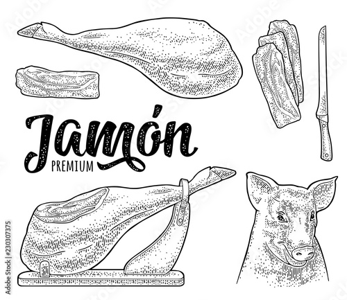 Pig head and jamon. Vector black vintage engraving