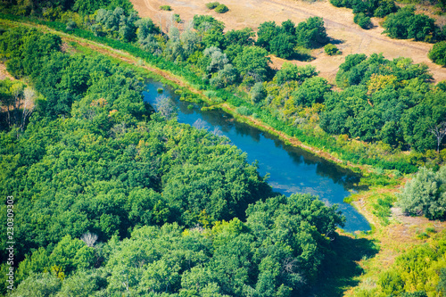 Aerial view of forest during