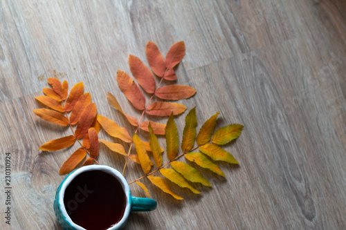 cup of coffee on a red leaves background
