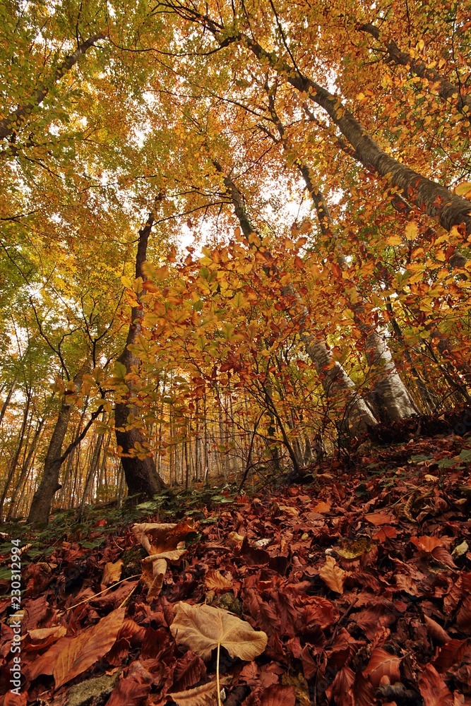 autunno nella majella autunno nella majella