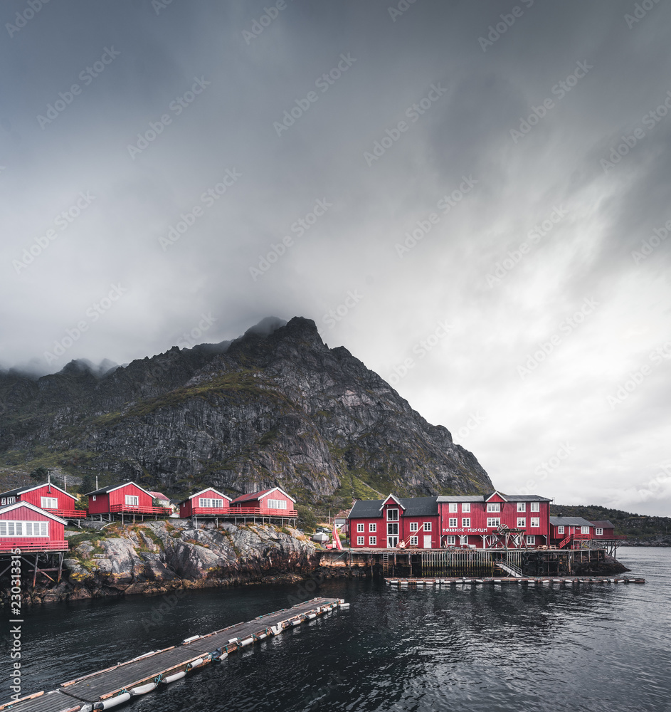 Famous tourist attraction of Reine in Lofoten, Norway with red rorbu houses, clouds, rainy day with bridge and grass and flowers.