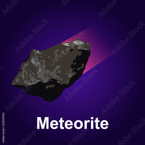 Meteorite icon. Isometric of meteorite vector icon for web design