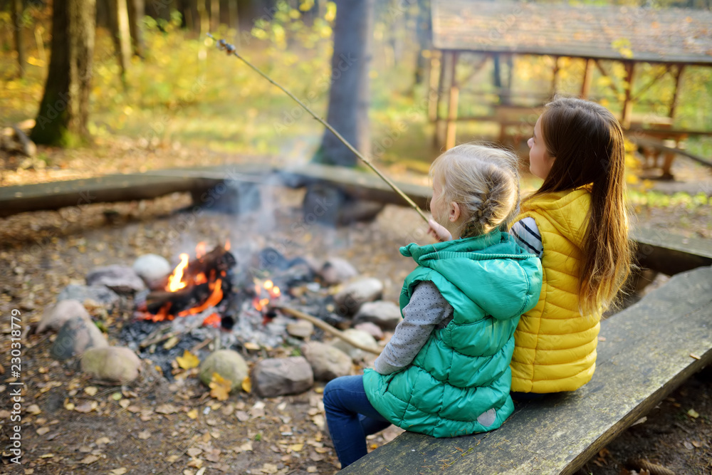 Cute little sisters roasting hotdogs on sticks at bonfire. Children having fun at camp fire. Camping with kids in fall forest. - obrazy, fototapety, plakaty 