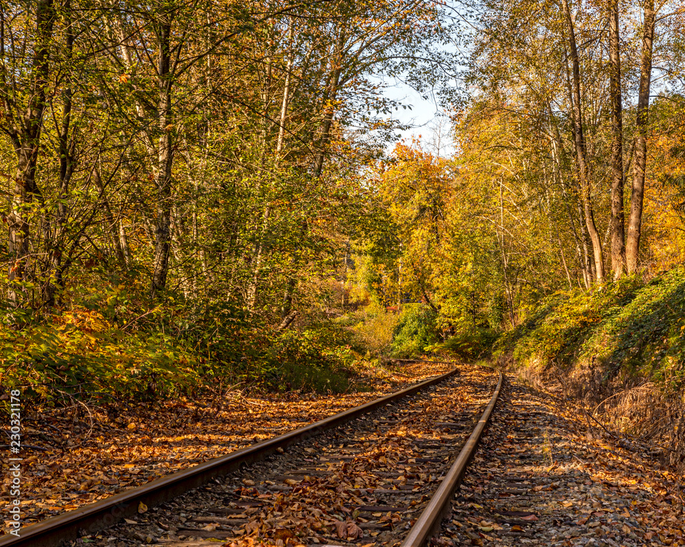 Fototapeta premium Train Track