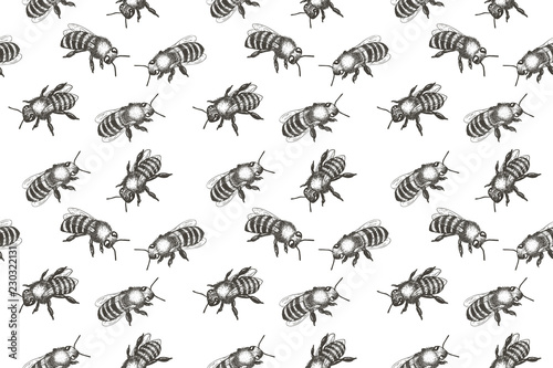 Seamless pattern with bees. Hand drawn vector illustration. © awesomedwarf