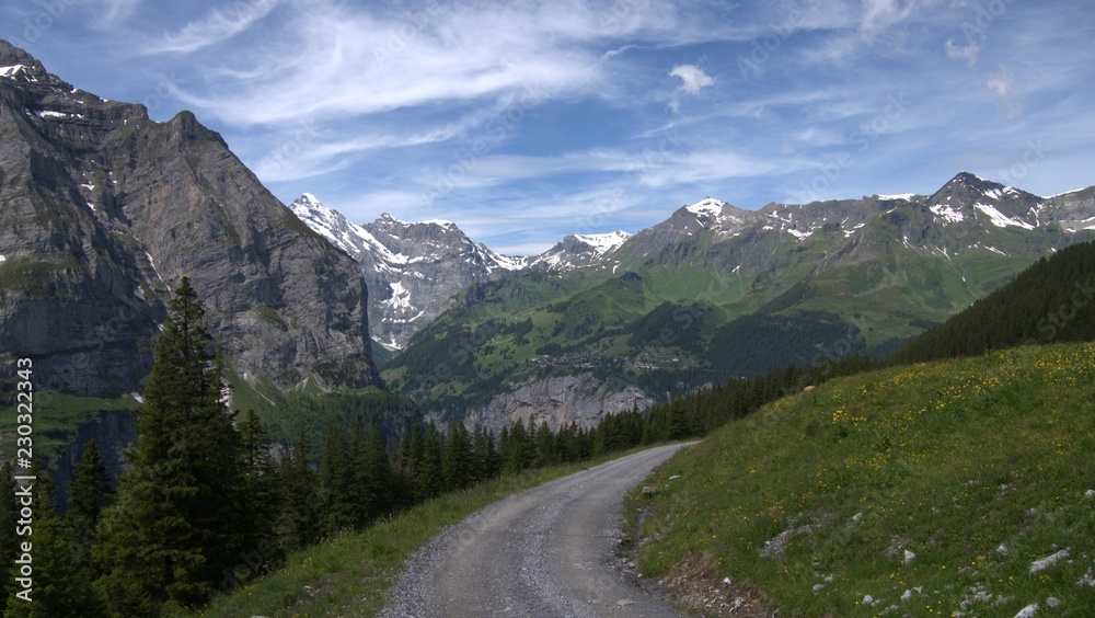 Road to Jungfrau