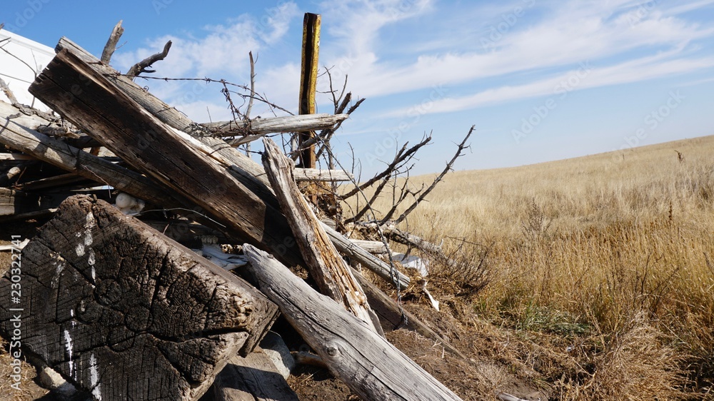 Dry grass wood and barbwire