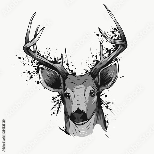 deer head on white, hand drawn vintage illustration