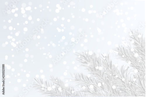Winter tree branch