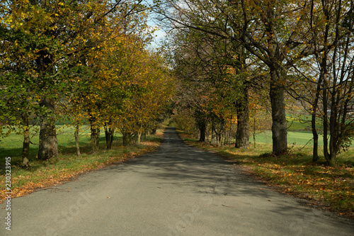 A view of the hill called Helf  t  n on the field and its surroundings and the path that leads to monuments during the autumn
