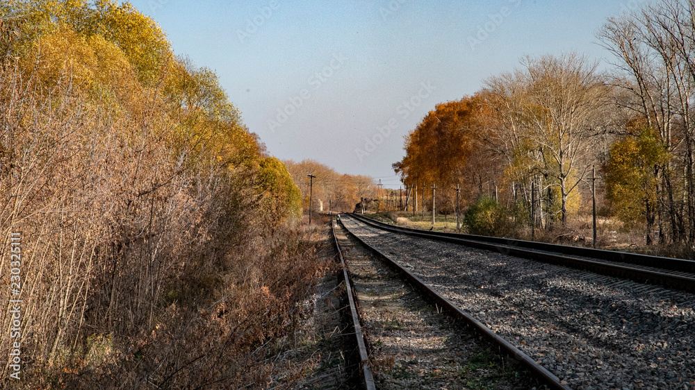 Obraz premium railway in autumn