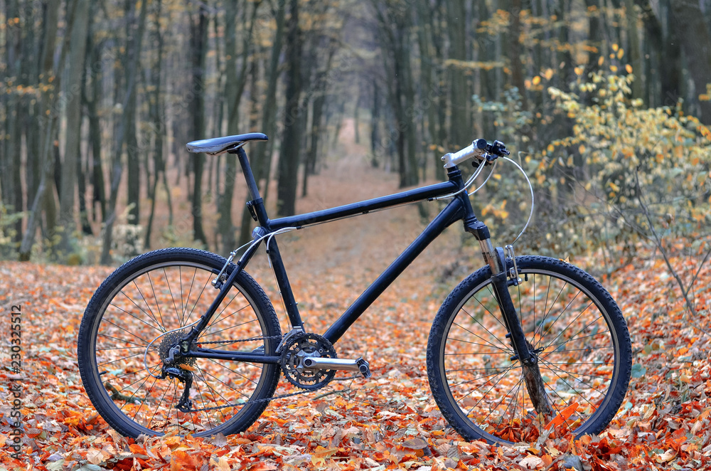 Bicycle standing  in mystic autumn park or forest. Healthy lifestyle concept.