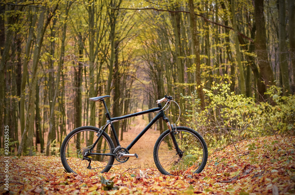 Bicycle in mystic autumn park or forest. Healthy lifestyle concept.