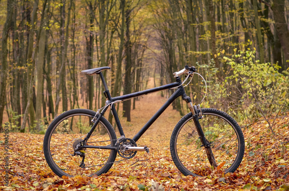 Close up of bicycle in mystic autumn park or forest. Healthy lifestyle concept.