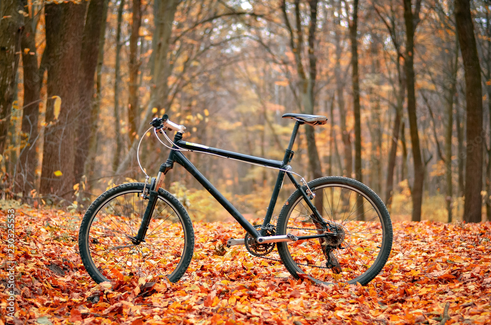 Bicycle in beautiful autumn forest. Healthy lifestyle concept.