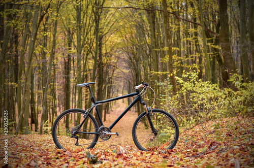 Bicycle in mystic autumn park or forest. Healthy lifestyle concept.
