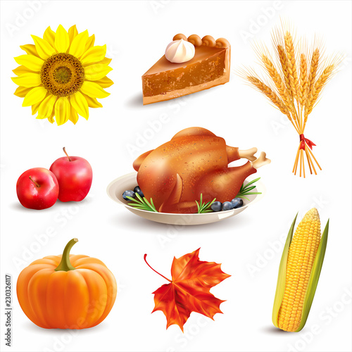 Thanksgiving Day design elements. Vector set.