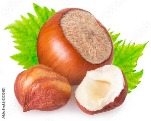 Hazelnut with leaf on white background