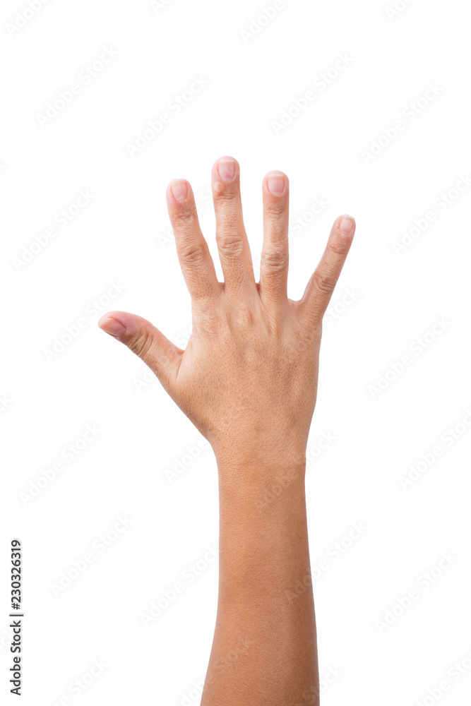 Obraz premium Female Hand Showing Number Five